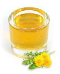 Мёд Одуванчиковый