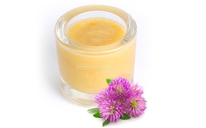 Луговой мёд или цветочный мёд - полезные свойства лугового разнотравья