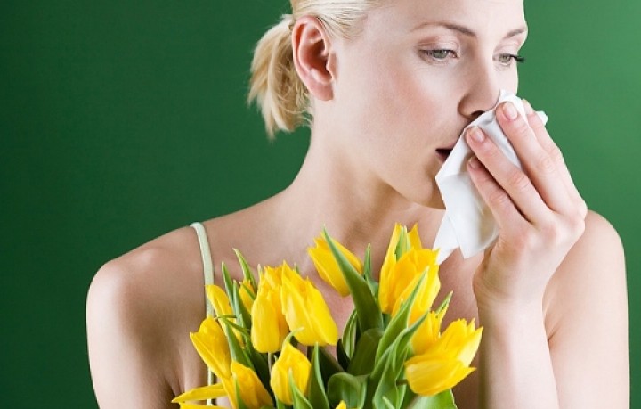 Пчелиная пыльца как средство борьбы с аллергией