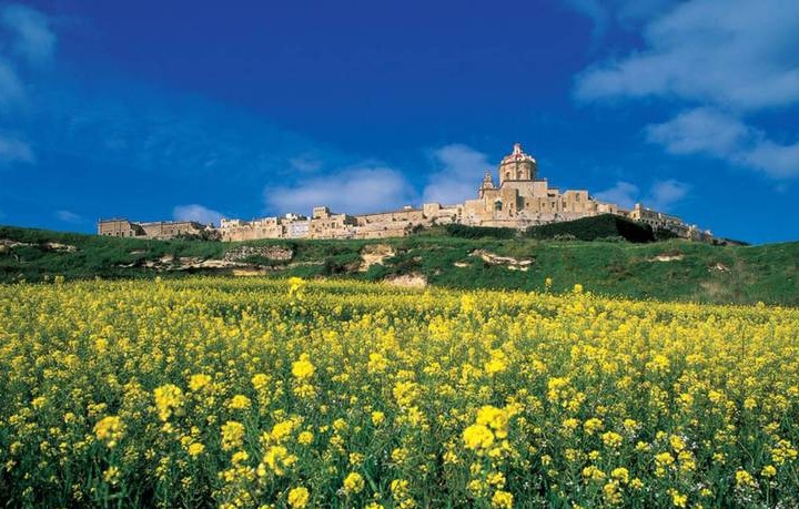 Медовый остров Мальта. Пчеловодство на Мальте
