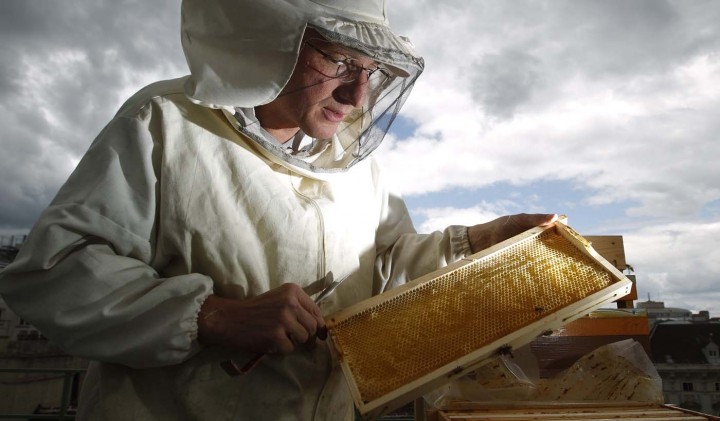 Международные организации пчеловодов