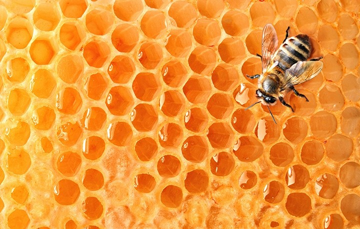 Что такое экспрессный мед?