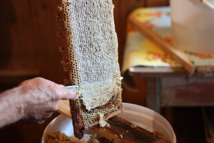 Ликбез продукты пчеловодства