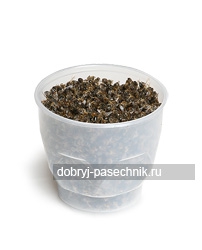 Подмор пчелиный