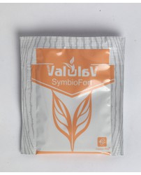 Valulav SymbioFort комплекс пробиотиков и пребиотиков 10 саше Сашера-Мед (Фото 1)