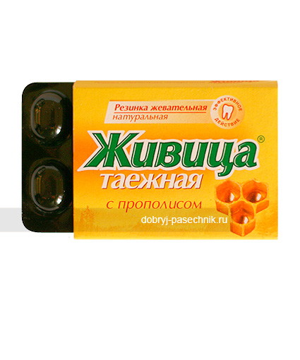Купить жевательную резинку «Живица таёжная» с прополисом Жевательная резинка «Живица таёжная» с прополисом